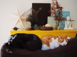 Блог Марины Гиллер