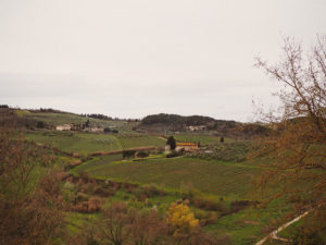Блог Марины Гиллер
