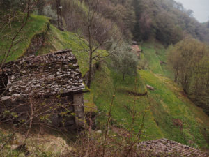Блог Марины Гиллер